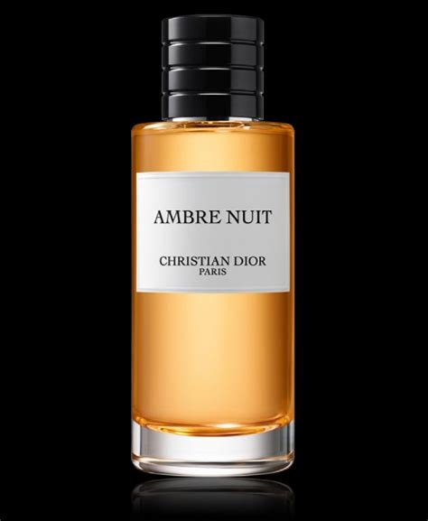 dior ambre nuit lidschatten|Dior ambre nuit.